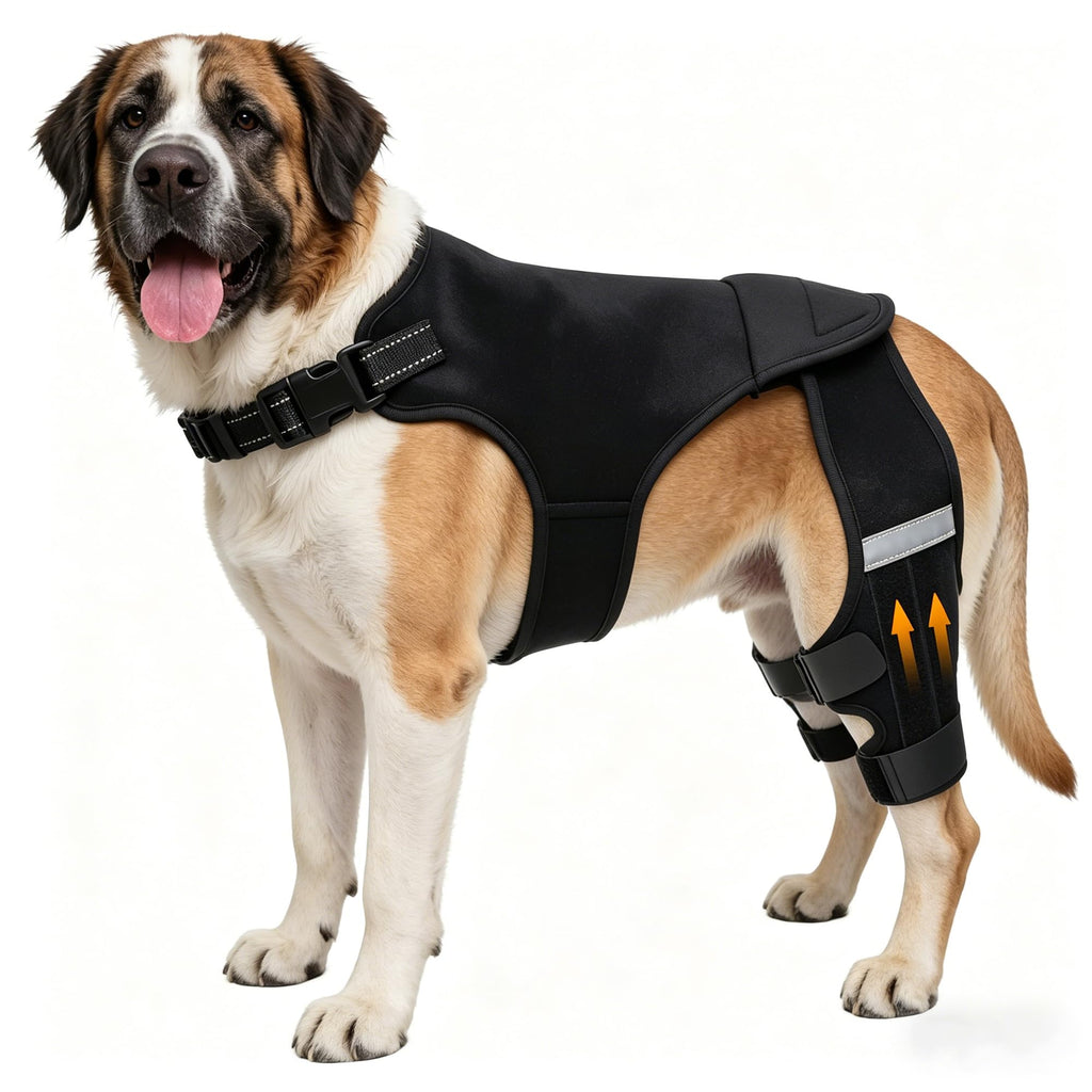 ALYBIT Dog Knee Brace for Torn ACL Hind Leg Adjustable Support with 4 Stabilizers – L