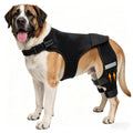 ALYBIT Dog Knee Brace for Torn ACL Hind Leg Adjustable Support with 4 Stabilizers – L