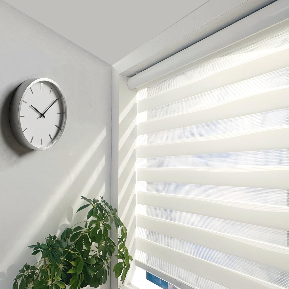 ShadesU Cordless Zebra Blinds – WHITE – Light Filtering Roller Shades