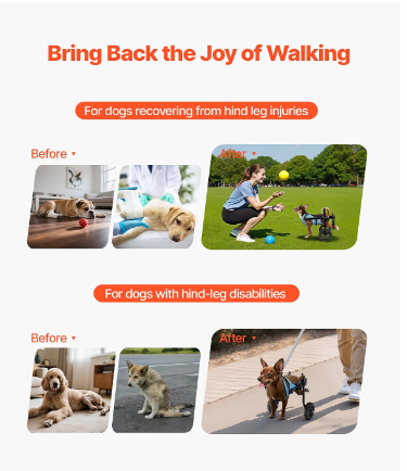 VEVOR Dog Wheelchair for Back Legs – X-Small – Adjustable 2-Wheel Pet Mobility Cart – Up to 22 lbs