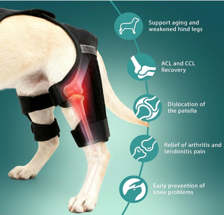 ALYBIT Dog Knee Brace for Torn ACL Hind Leg Adjustable Support with 4 Stabilizers – L