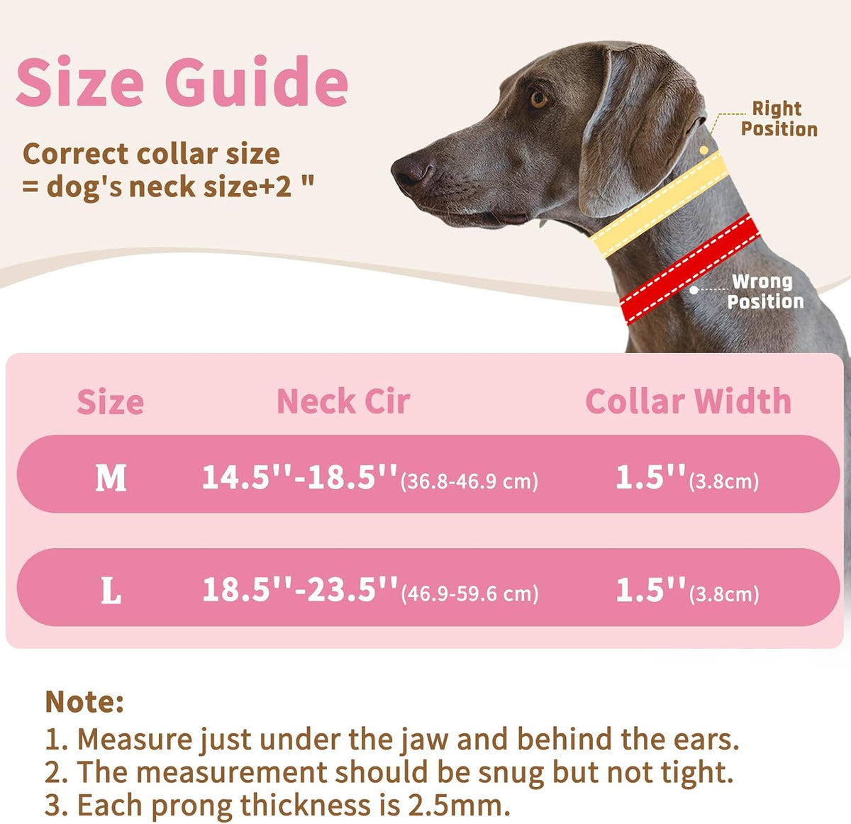 Mayerzon Martingale Dog Training Collar Hot Pink Reflective Small Medium Large XL