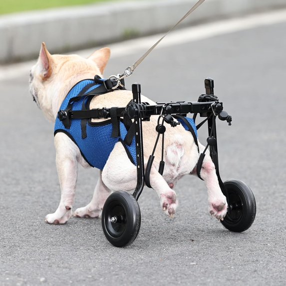 Adjustable Dog Wheelchair for Back Legs – Size Small