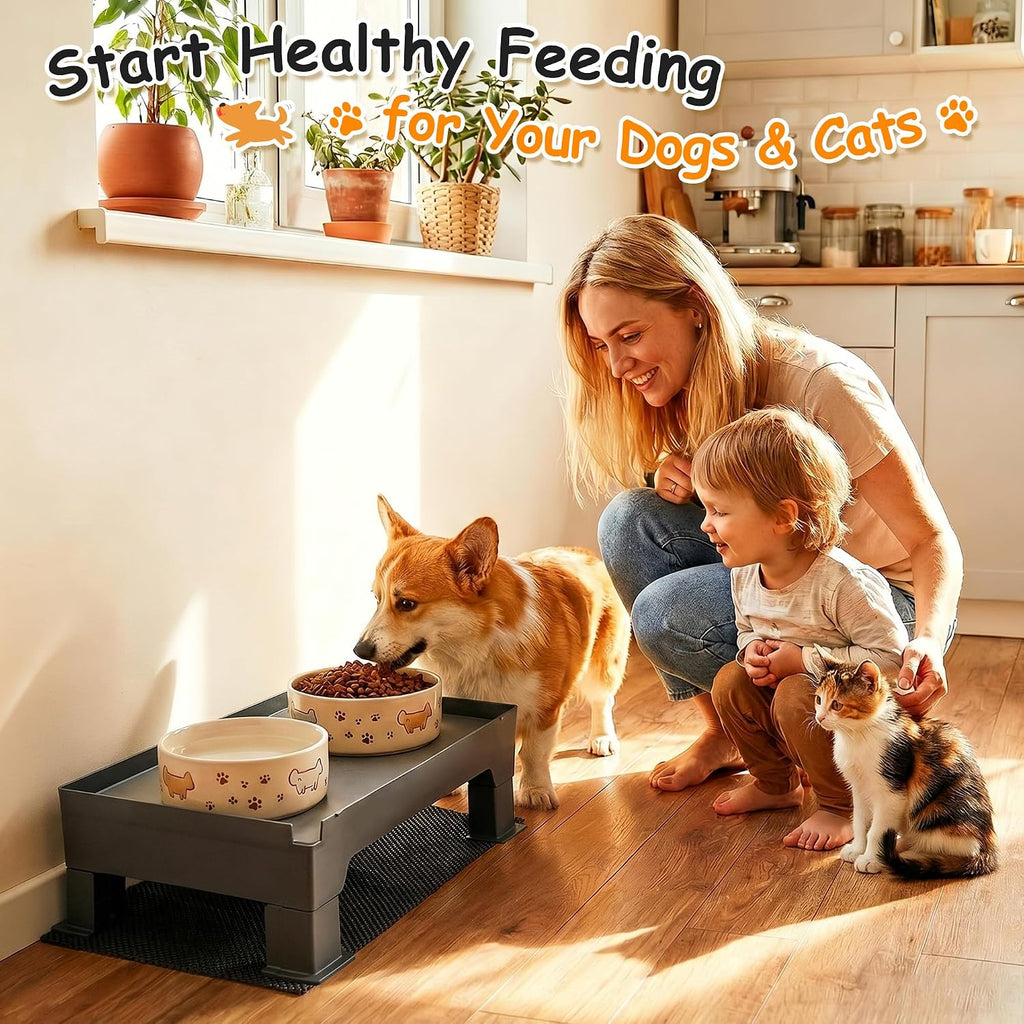 Dreyoo Adjustable Elevated Dog Bowl Stand Gray Waterproof Food Mat 2 Heights